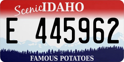ID license plate E445962