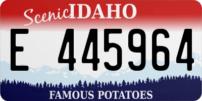 ID license plate E445964