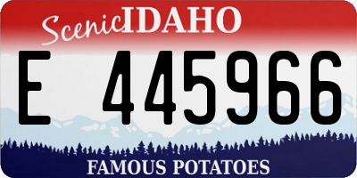 ID license plate E445966