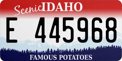ID license plate E445968