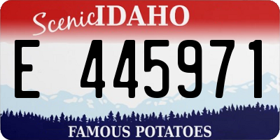 ID license plate E445971