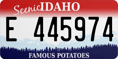 ID license plate E445974