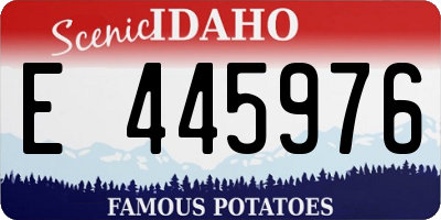 ID license plate E445976