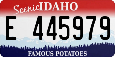 ID license plate E445979