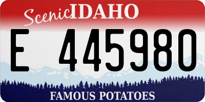 ID license plate E445980