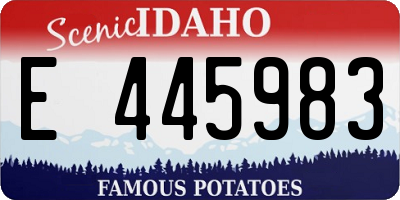 ID license plate E445983