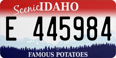 ID license plate E445984