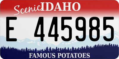 ID license plate E445985