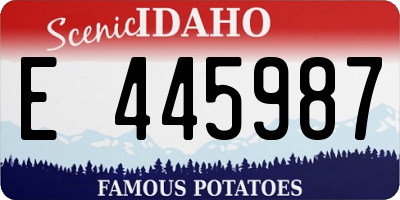 ID license plate E445987