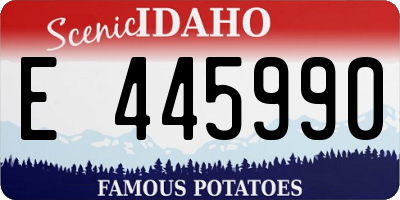 ID license plate E445990