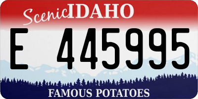 ID license plate E445995