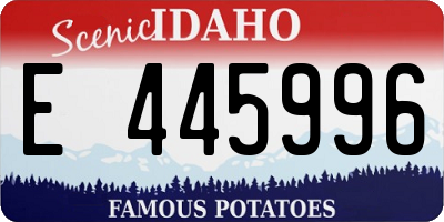 ID license plate E445996
