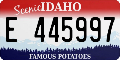 ID license plate E445997