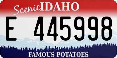 ID license plate E445998