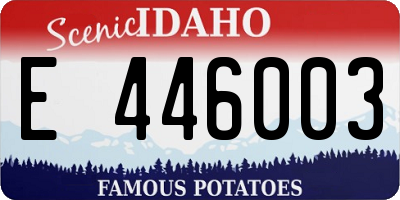 ID license plate E446003