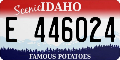 ID license plate E446024
