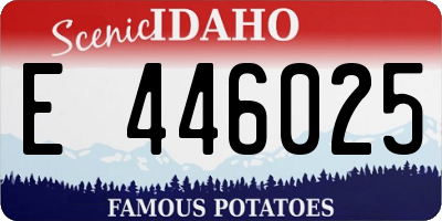 ID license plate E446025