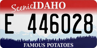 ID license plate E446028