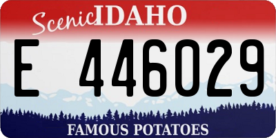 ID license plate E446029