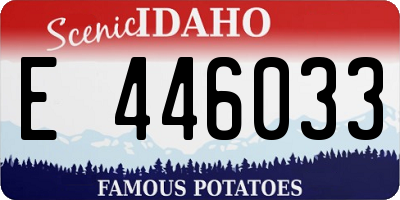 ID license plate E446033