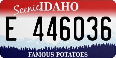 ID license plate E446036