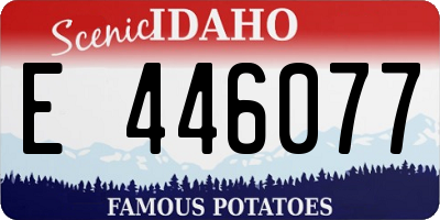 ID license plate E446077