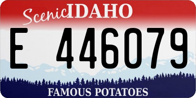 ID license plate E446079