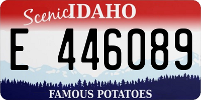 ID license plate E446089