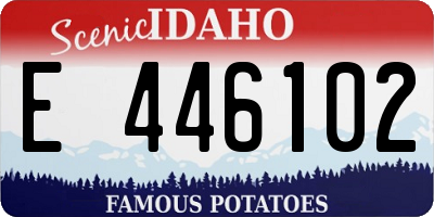 ID license plate E446102