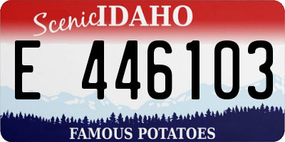 ID license plate E446103