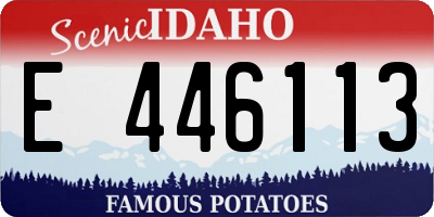 ID license plate E446113