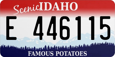 ID license plate E446115