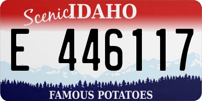 ID license plate E446117