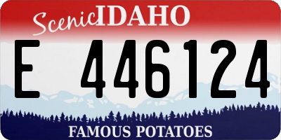 ID license plate E446124