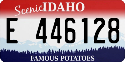 ID license plate E446128