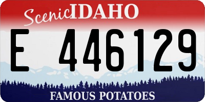 ID license plate E446129