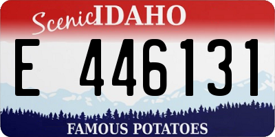 ID license plate E446131