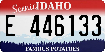 ID license plate E446133