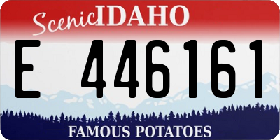 ID license plate E446161
