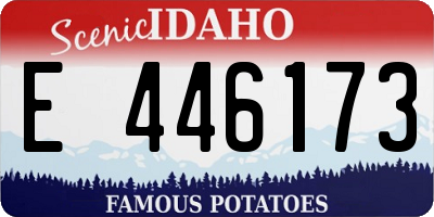 ID license plate E446173