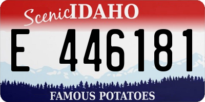 ID license plate E446181