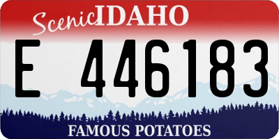 ID license plate E446183