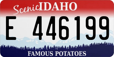 ID license plate E446199