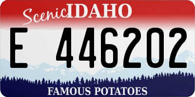 ID license plate E446202