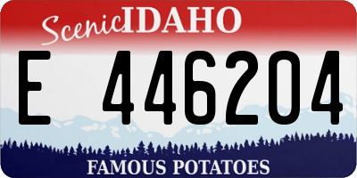 ID license plate E446204