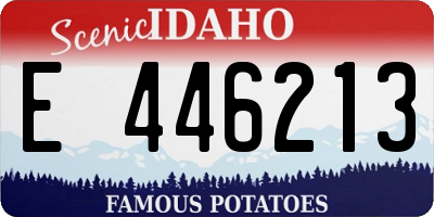 ID license plate E446213