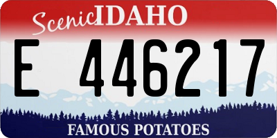 ID license plate E446217