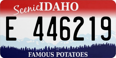 ID license plate E446219