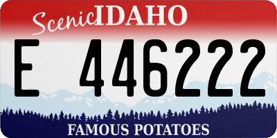 ID license plate E446222