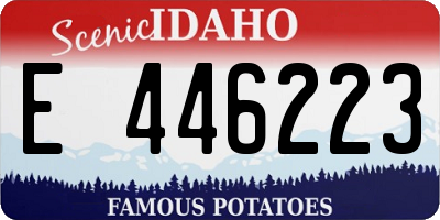 ID license plate E446223